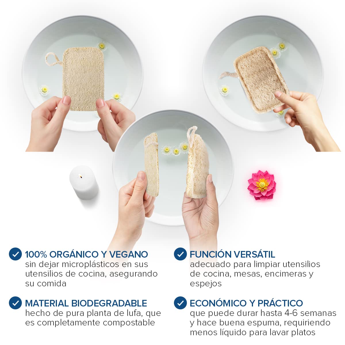 Natural Dishwashing Sponge (Pack of 8) | Eco-Friendly Scouring Pad