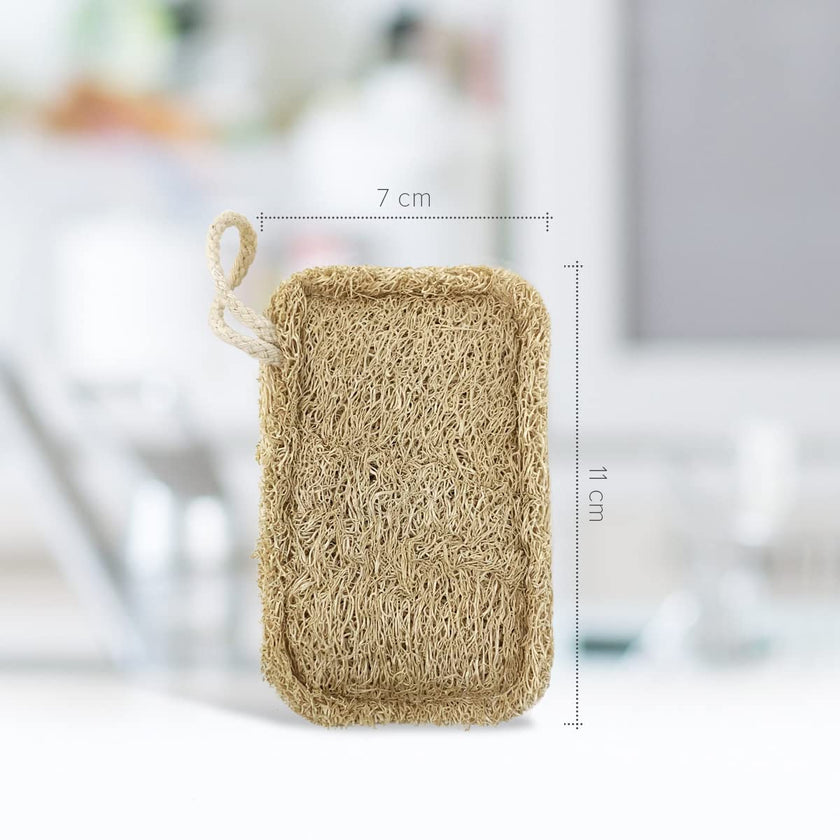 Natural Dishwashing Sponge (Pack of 8) | Eco-Friendly Scouring Pad