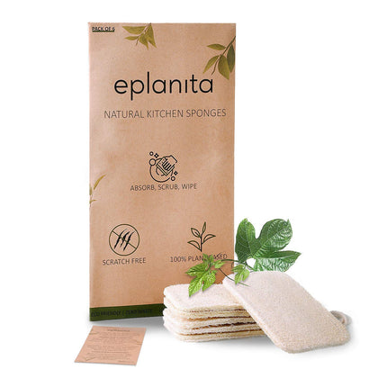Natural Sponges for Washing Dishes