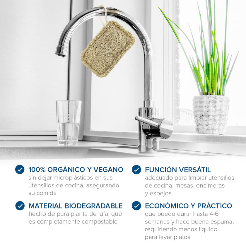 Natural Dishwashing Sponge (Pack of 8) | Eco-Friendly Scouring Pad