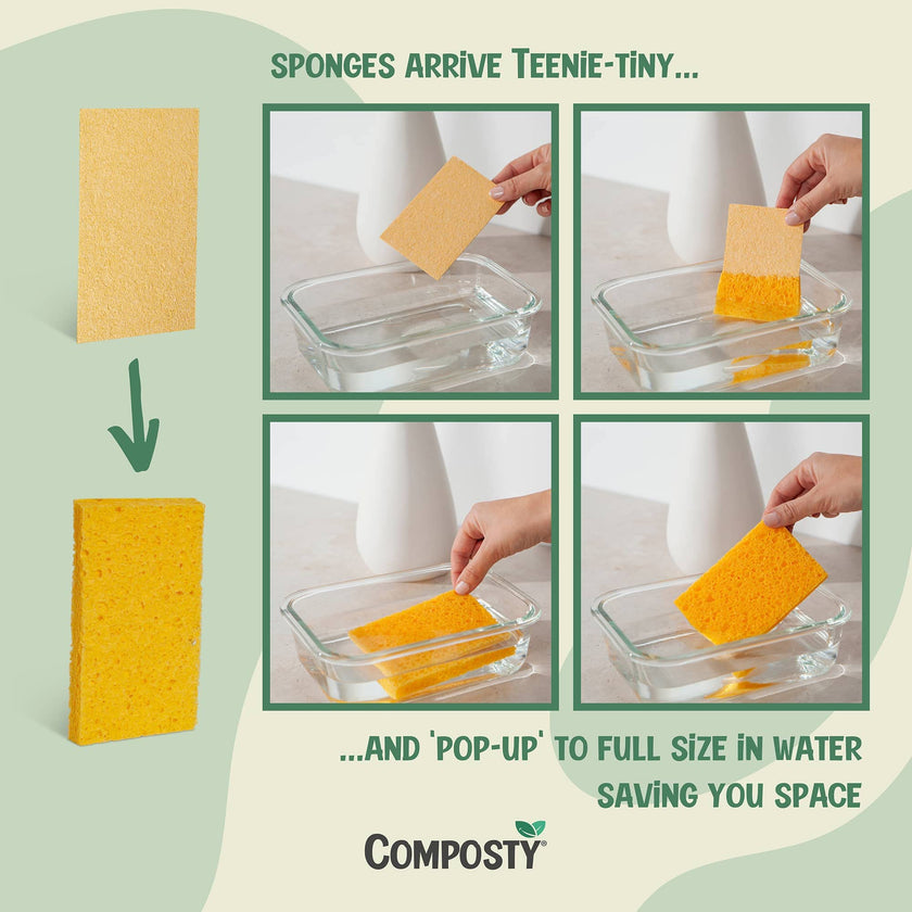 Compostable Pop-Up Eco-Friendly Sponges | 12 Units
