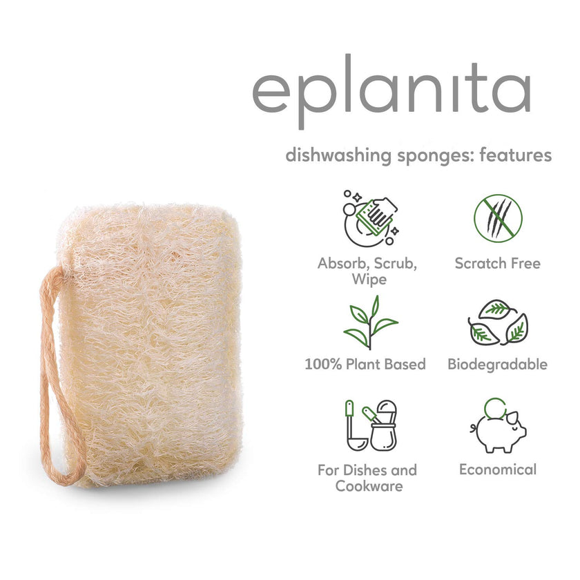 Natural Sponges for Washing Dishes