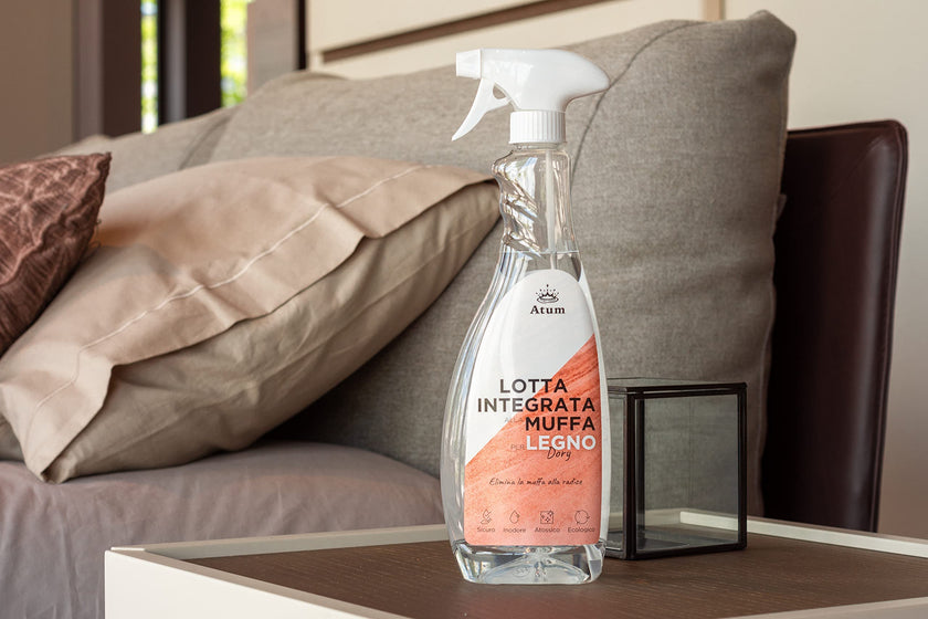 Eco-friendly and safe anti-mold for wood and furniture