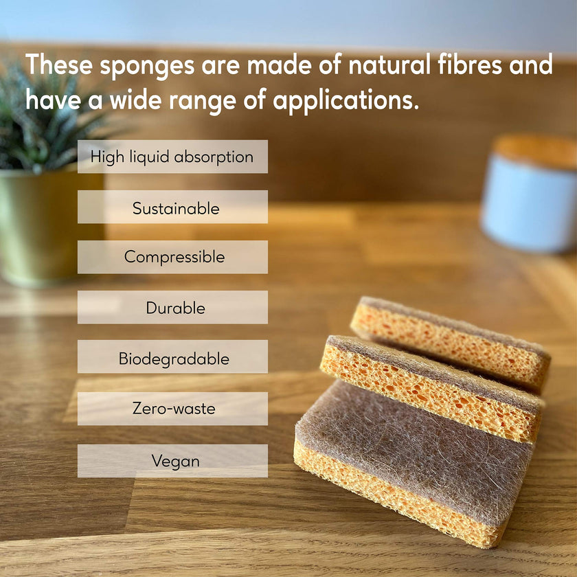 Eplanita Biodegradable Natural Sponges (Pack of 3)