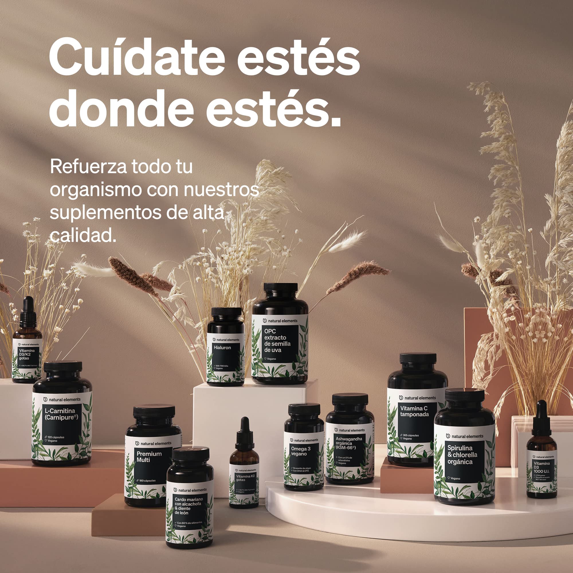 Cápsulas de Cúrcuma y Jengibre Ecológicos | Alta Potencia