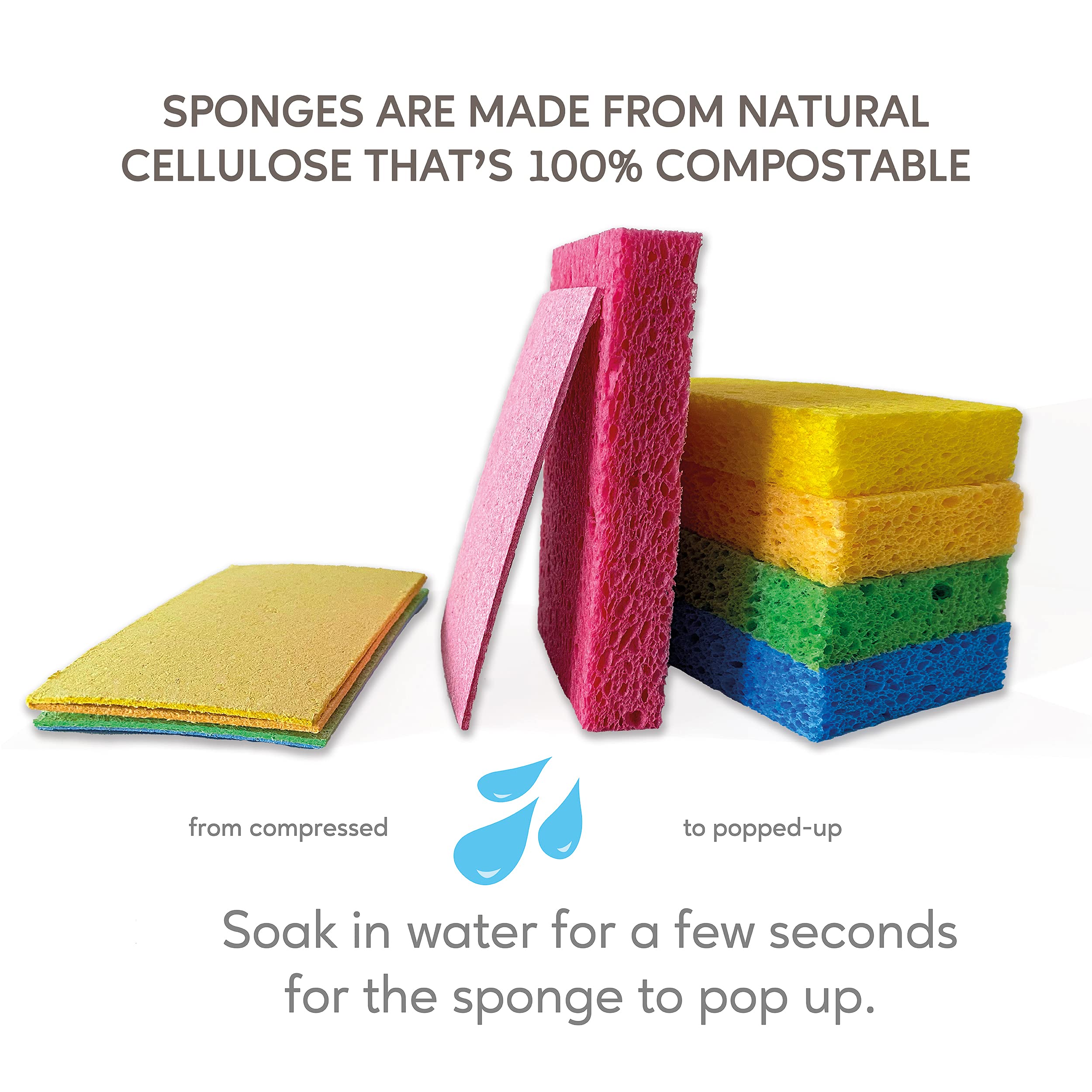 Biodegradable Pop-up Sponges (pack of 5)