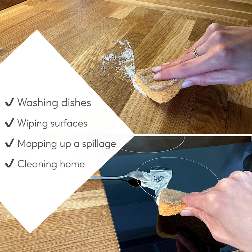 Eplanita Biodegradable Natural Sponges (Pack of 3)