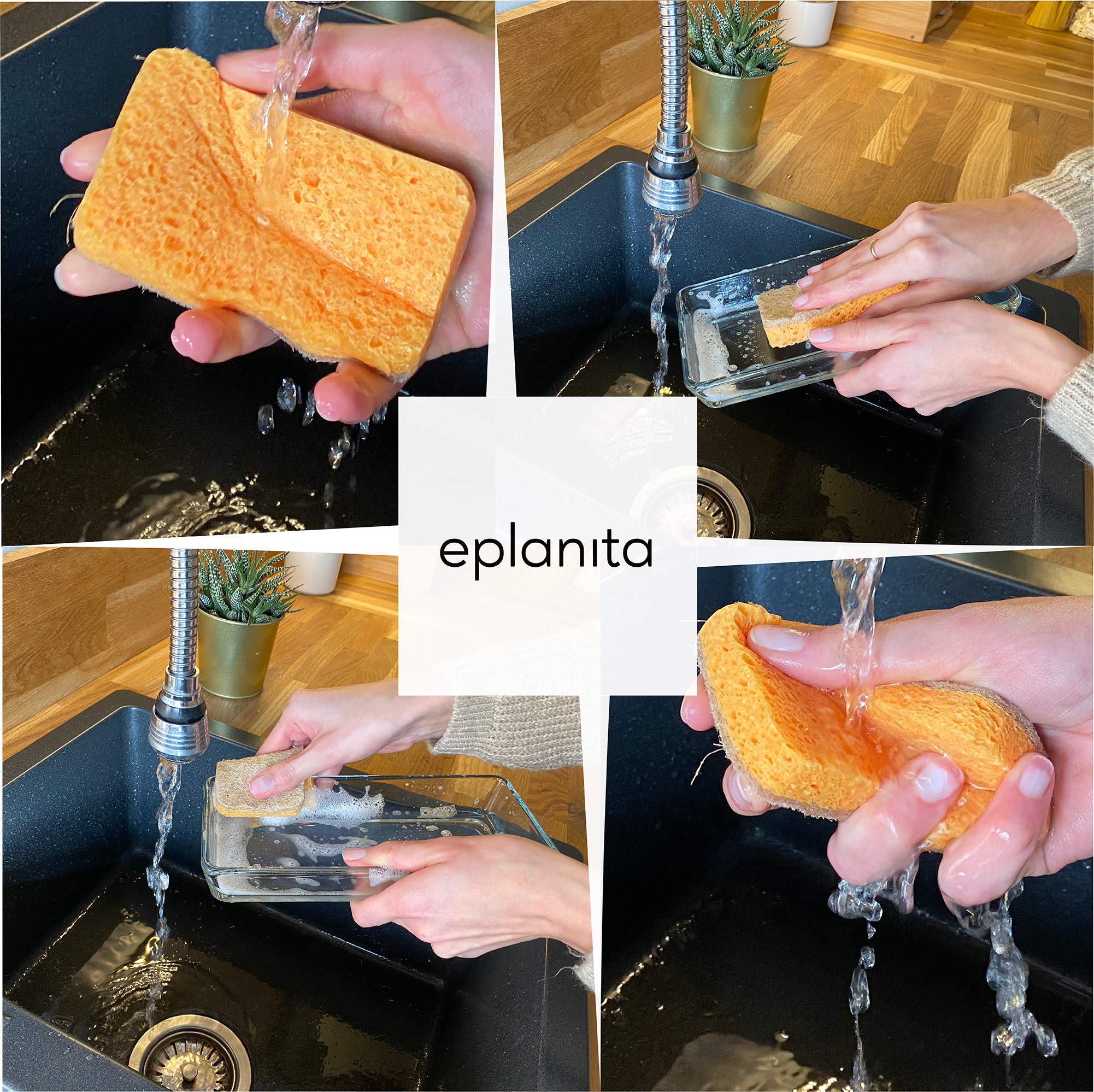 Eplanita Biodegradable Natural Sponges (Pack of 3)